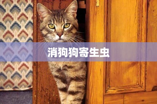 消狗狗寄生蟲