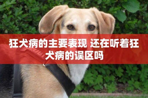 狂犬病的主要表現 還在聽著狂犬病的誤區嗎