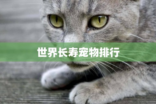 世界長壽寵物排行