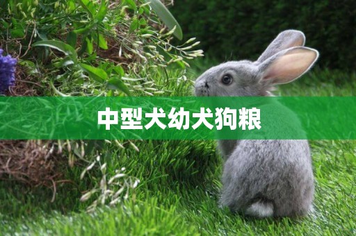 中型犬幼犬狗糧