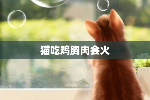 貓吃雞胸肉會火