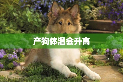 產狗體溫會升高