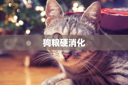 狗糧硬消化
