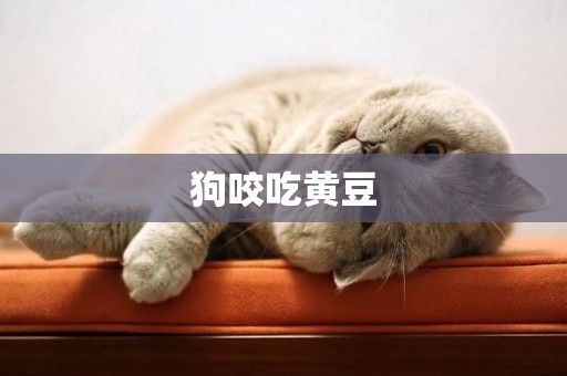 狗咬吃黃豆