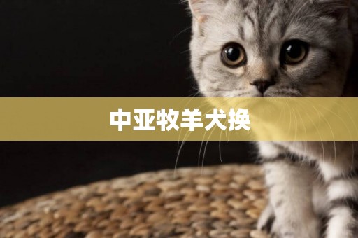 中亞牧羊犬換