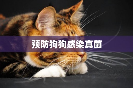 預防狗狗感染真菌