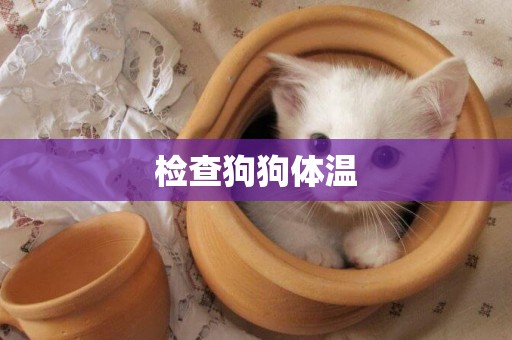 檢查狗狗體溫