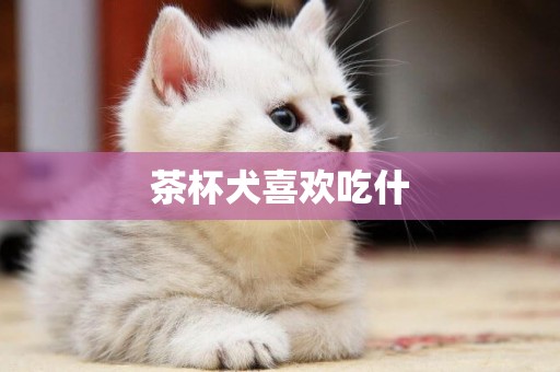 茶杯犬喜歡吃什