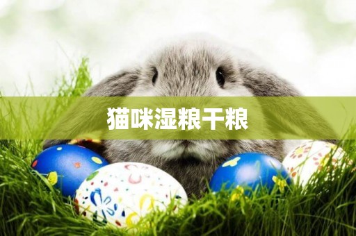 貓咪濕糧干糧
