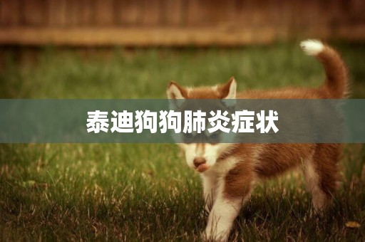 泰迪狗狗肺炎癥狀