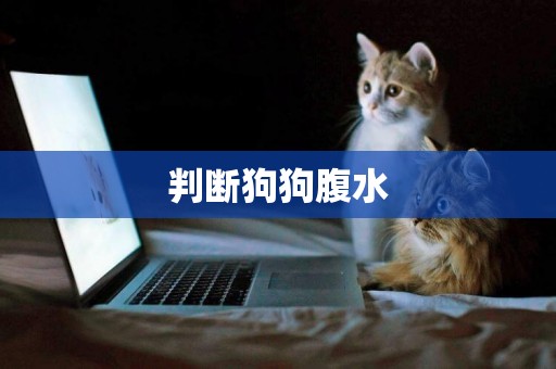 判斷狗狗腹水