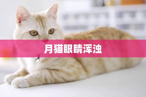 月貓眼睛渾濁