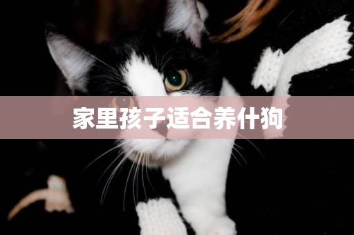 家里孩子適合養什狗