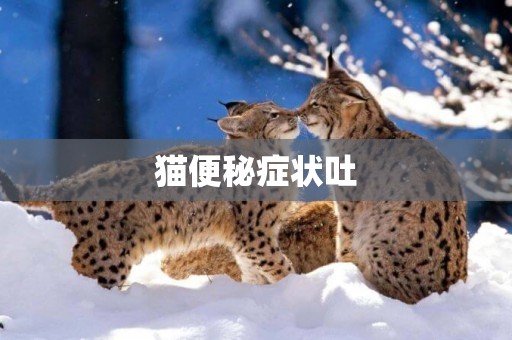 貓便秘癥狀吐