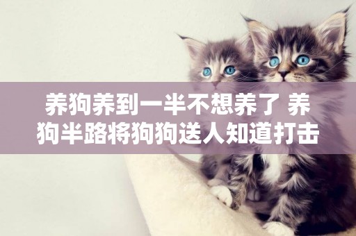 養狗養到一半不想養了 養狗半路將狗狗送人知道打擊多大嗎