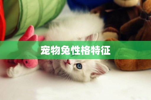 寵物兔性格特征