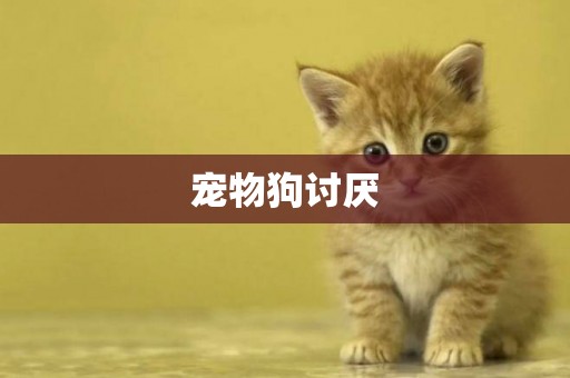 寵物狗討厭