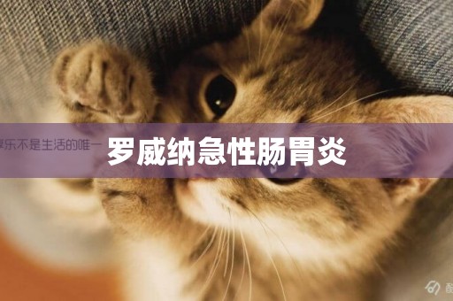羅威納急性腸胃炎