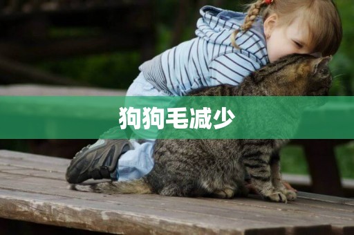 狗狗毛減少