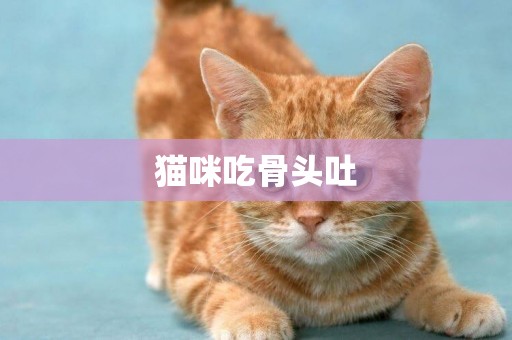 貓咪吃骨頭吐