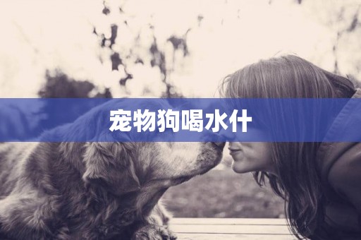 寵物狗喝水什