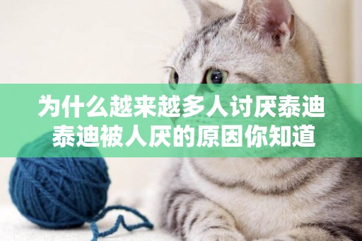 為什么越來越多人討厭泰迪 泰迪被人厭的原因你知道嗎？