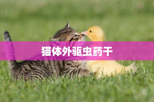 貓體外驅蟲藥干