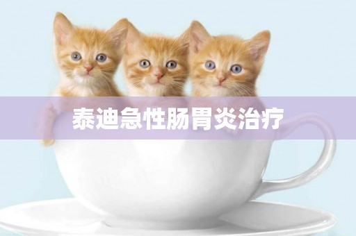 泰迪急性腸胃炎治療