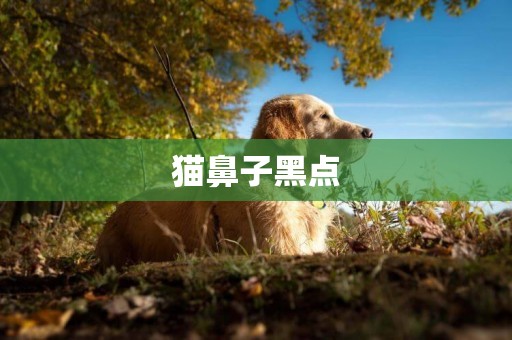 貓鼻子黑點