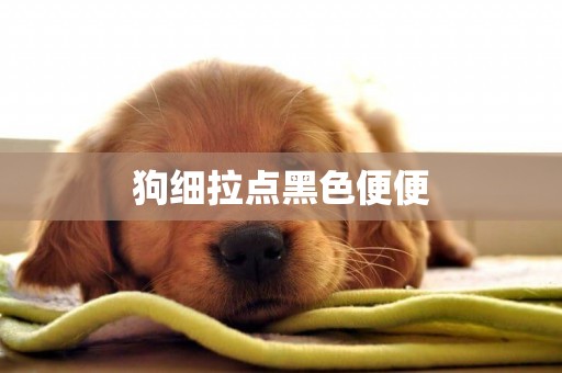 狗細拉點黑色便便
