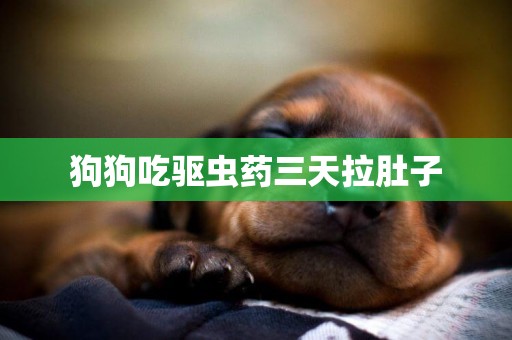 狗狗吃驅蟲藥三天拉肚子