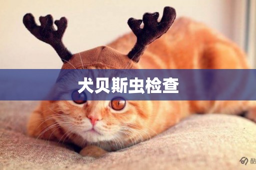 犬貝斯蟲檢查
