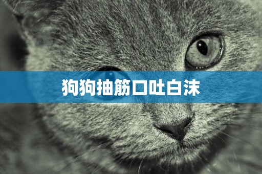狗狗抽筋口吐白沫