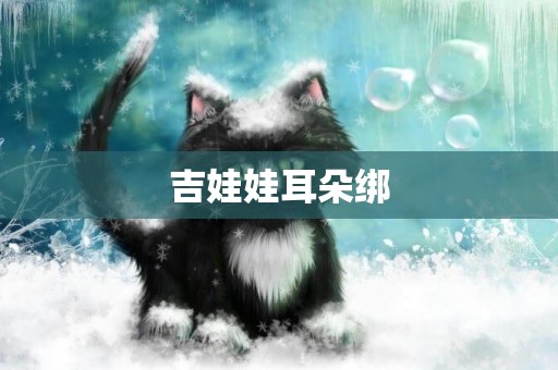 吉娃娃耳朵綁