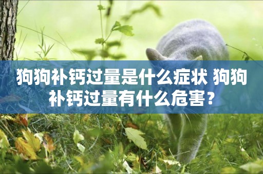 狗狗補鈣過量是什么癥狀 狗狗補鈣過量有什么危害？