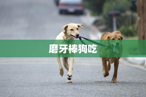 磨牙棒狗吃