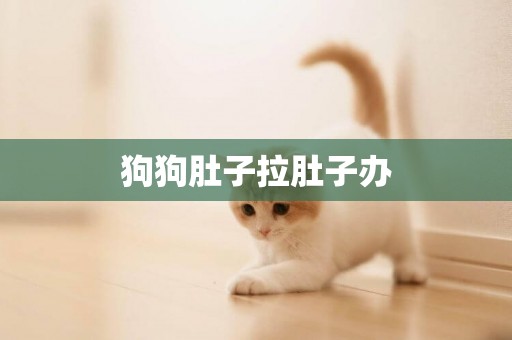 狗狗肚子拉肚子辦