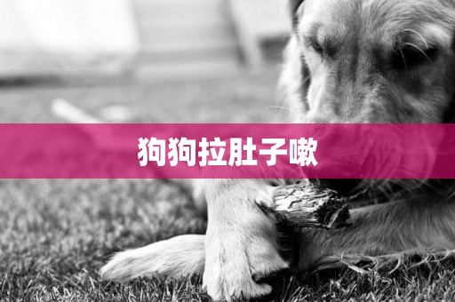 狗狗拉肚子嗽