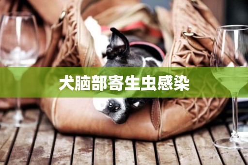犬腦部寄生蟲感染