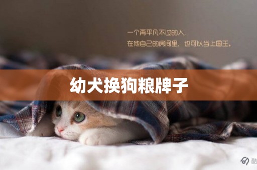 幼犬換狗糧牌子