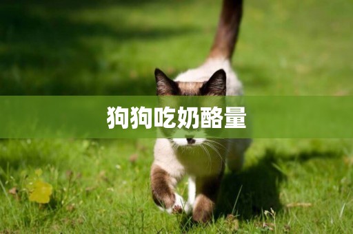狗狗吃奶酪量