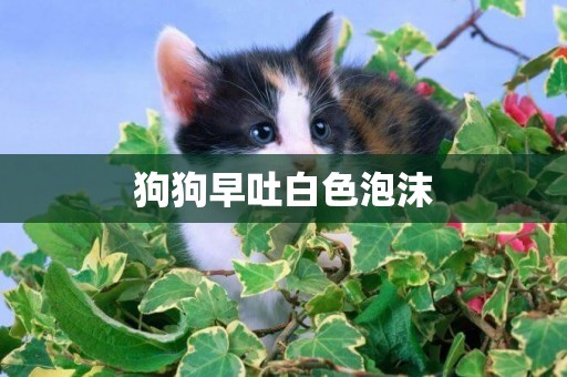 狗狗早吐白色泡沫