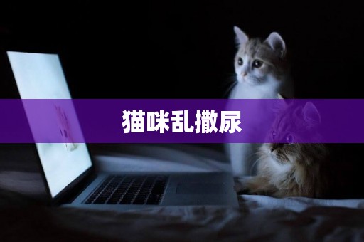 貓咪亂撒尿
