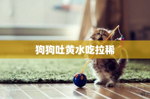 狗狗吐黃水吃拉稀