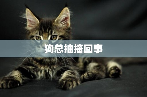 狗總抽搐回事