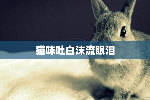貓咪吐白沫流眼淚