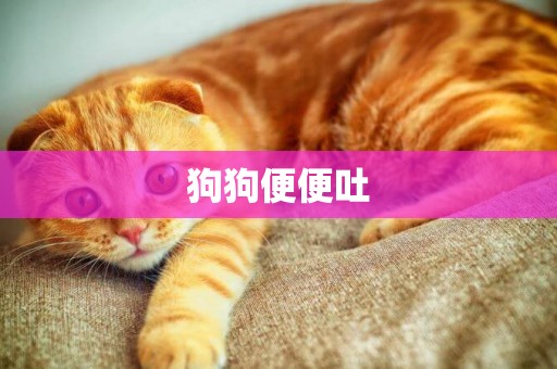 狗狗便便吐