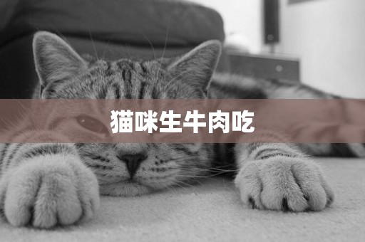 貓咪生牛肉吃