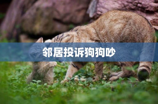 鄰居投訴狗狗吵