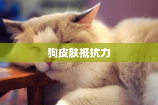 狗皮膚抵抗力